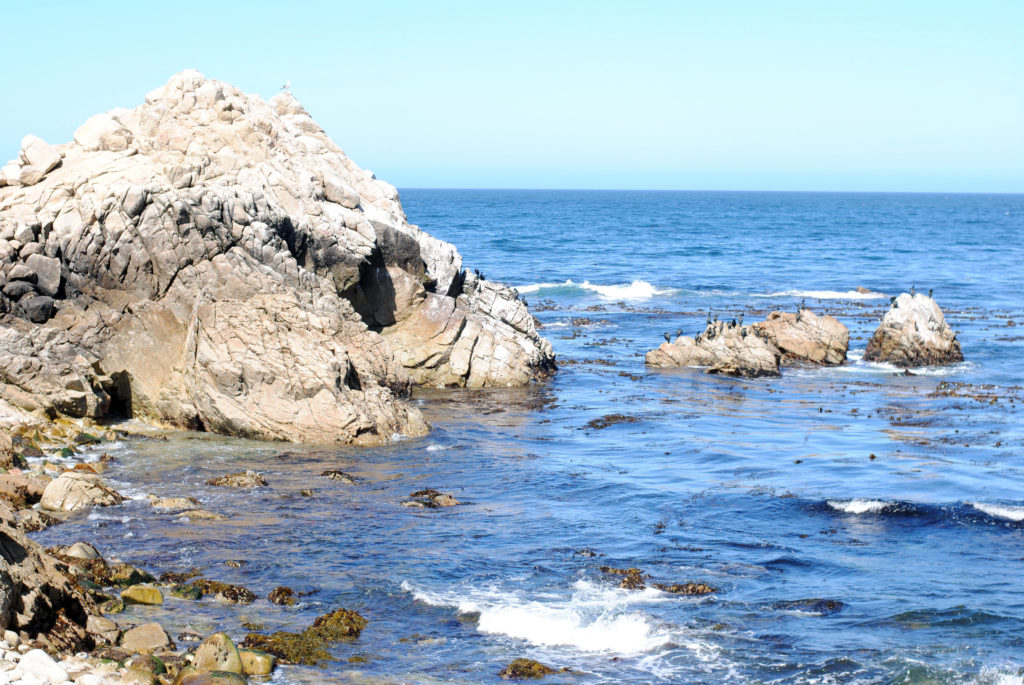 17 Mile Drive Pebble Beach