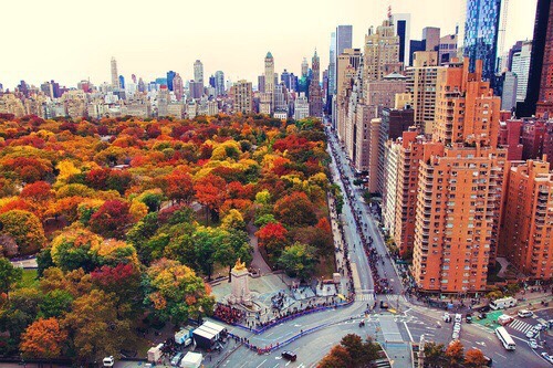 ny-in-the-fall