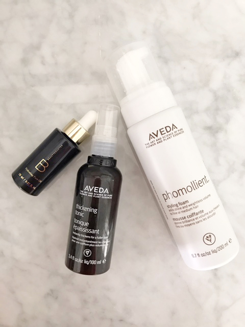 Aveda Phomollient- Aveda Hair Care Review